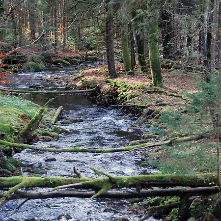 Bayerwald Gasthof Frauenau