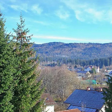 Gasthof Bayerwald Frauenau